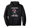 Valentines Day Baseball I Love My Hoodie - Graphic Print for Adults - T-Shirt, Sweatshirt, Hoodie