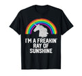 Im Freakin Ray Sunshine Rainbow Unicorn T-Shirt - Graphic Print for Adults - T-Shirt, Sweatshirt, Hoodie