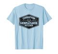 Champion Horseshoe Pitcher Distressed T-Shirt - Trendy Graphic for Adults - T-Shirt, Sweatshirt, Hoodie