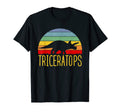 Triceratops Sunset Dinosaur Paleontology T-Shirt - Graphic Print for Adults - T-Shirt, Sweatshirt, Hoodie