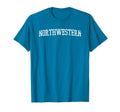 Northwestern Throwback Worn T-Shirt - Aesthetic Graphic for Adults - T-Shirt, Sweatshirt, Hoodie