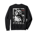 Back Y2K Streetwear Dog Pit Bull Sweatshirt - Fun Novelty Design Men Women - T-Shirt, Sweatshirt, Hoodie