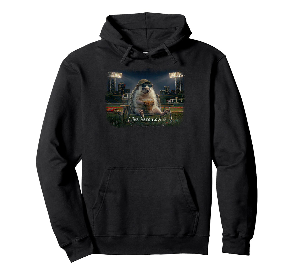 Funny Hedgehog Ballfield Baseball Hoodie - Aesthetic Graphic Men Women - T-Shirt, Sweatshirt, Hoodie