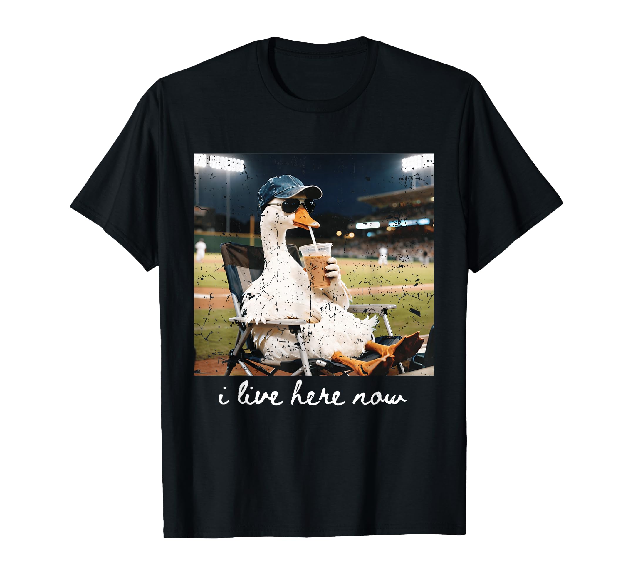 Funny Goose Ballfield Baseball Field I T-Shirt - Unique Graphic Unisex - T-Shirt, Sweatshirt, Hoodie