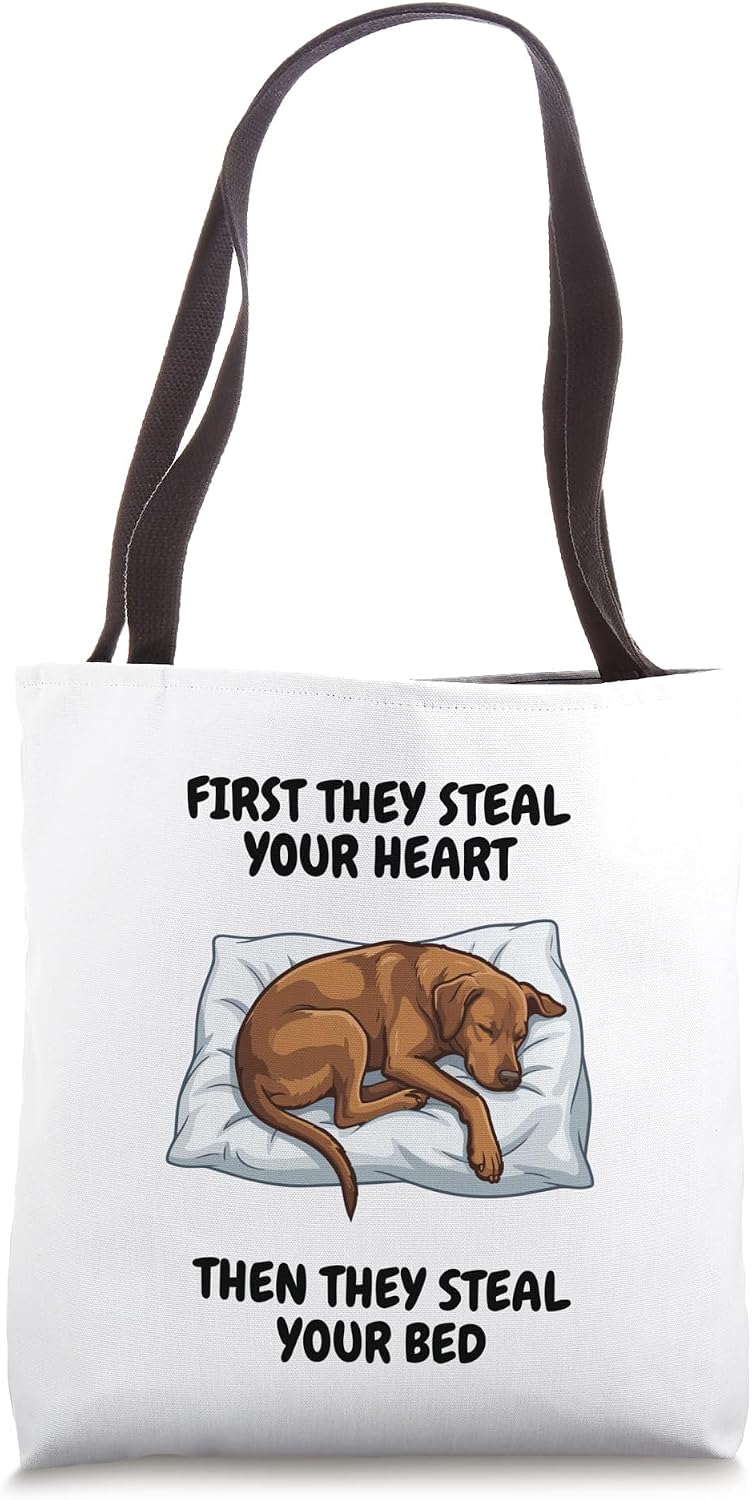 Vizsla Gift Dog Accessories Viszla Stuff - Adult & Kids T-Shirts, Sweatshirts & Hoodies apparel design preview 1
