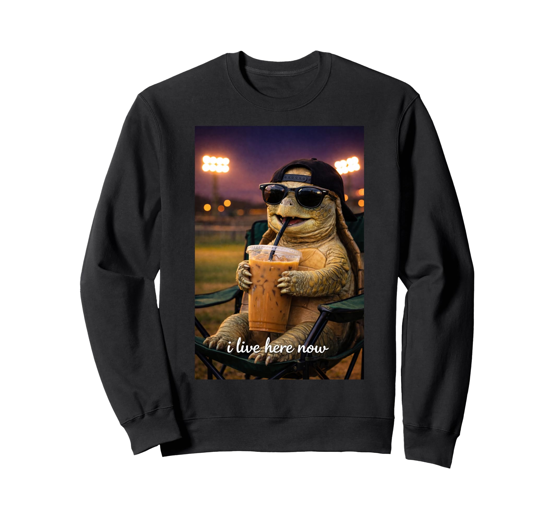 Funny Turtle Ballfield Baseball Sweatshirt - Custom Art Print Men Women - T-Shirt, Sweatshirt, Hoodie