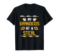 My Grandkids Hit And Steal Baseball T-Shirt - Custom Art Print for Adults - T-Shirt, Sweatshirt, Hoodie