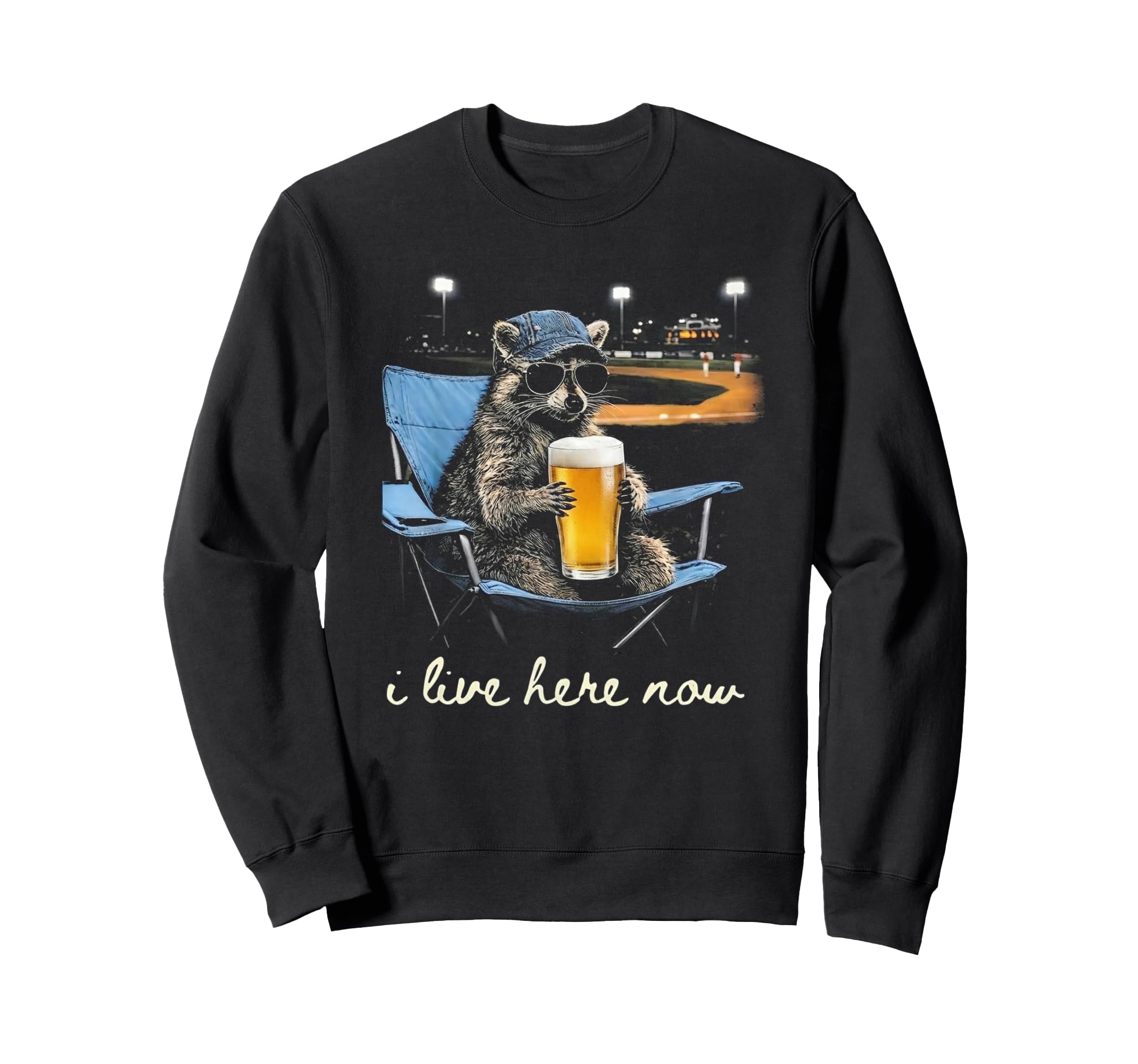 Funny Raccoon Ballfield Baseball Sweatshirt - Unique Graphic Men Women - T-Shirt, Sweatshirt, Hoodie