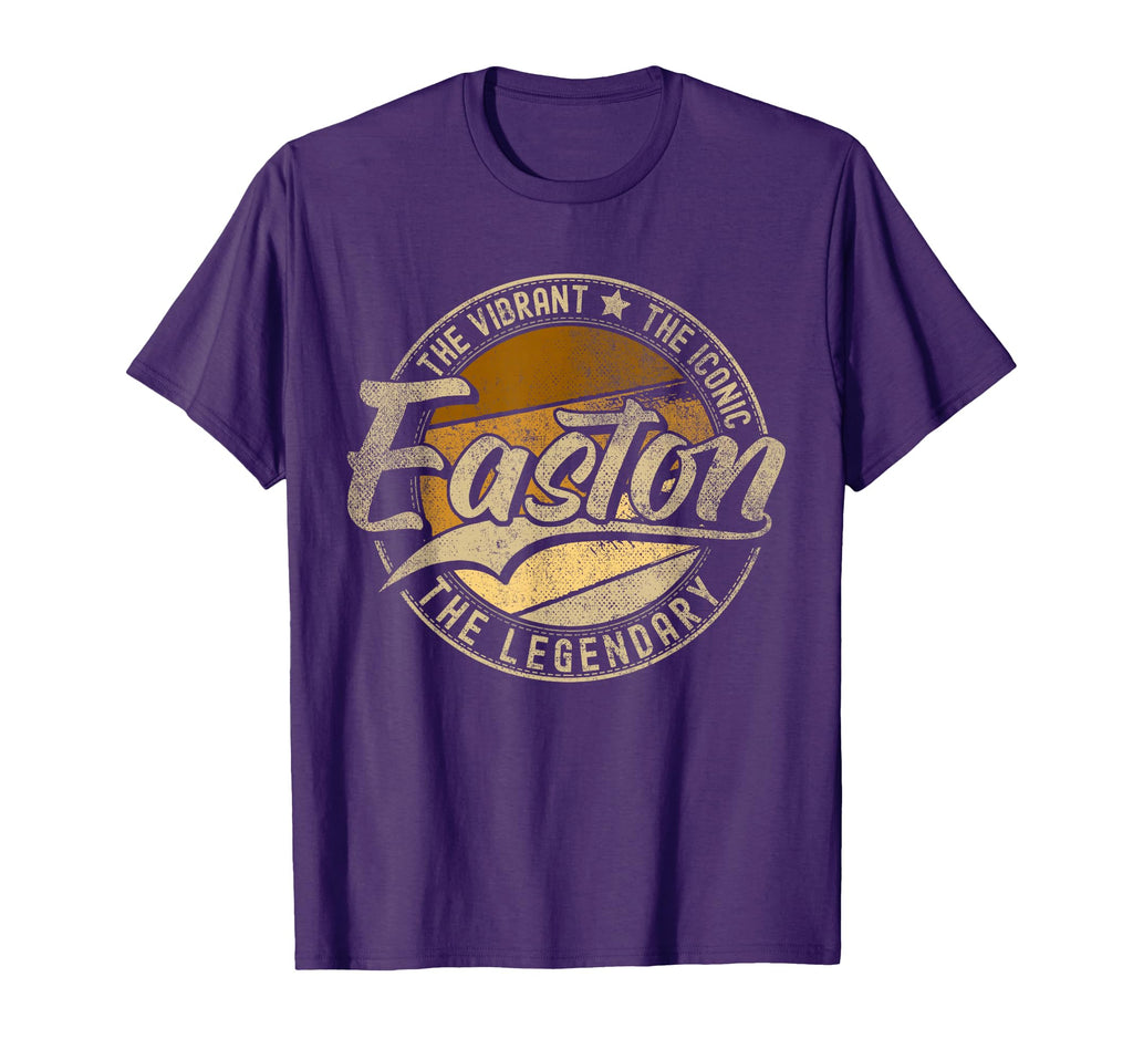 Easton Pa Pennsylvania Distressed T-Shirt - Graphic Print for Adults - T-Shirt, Sweatshirt, Hoodie