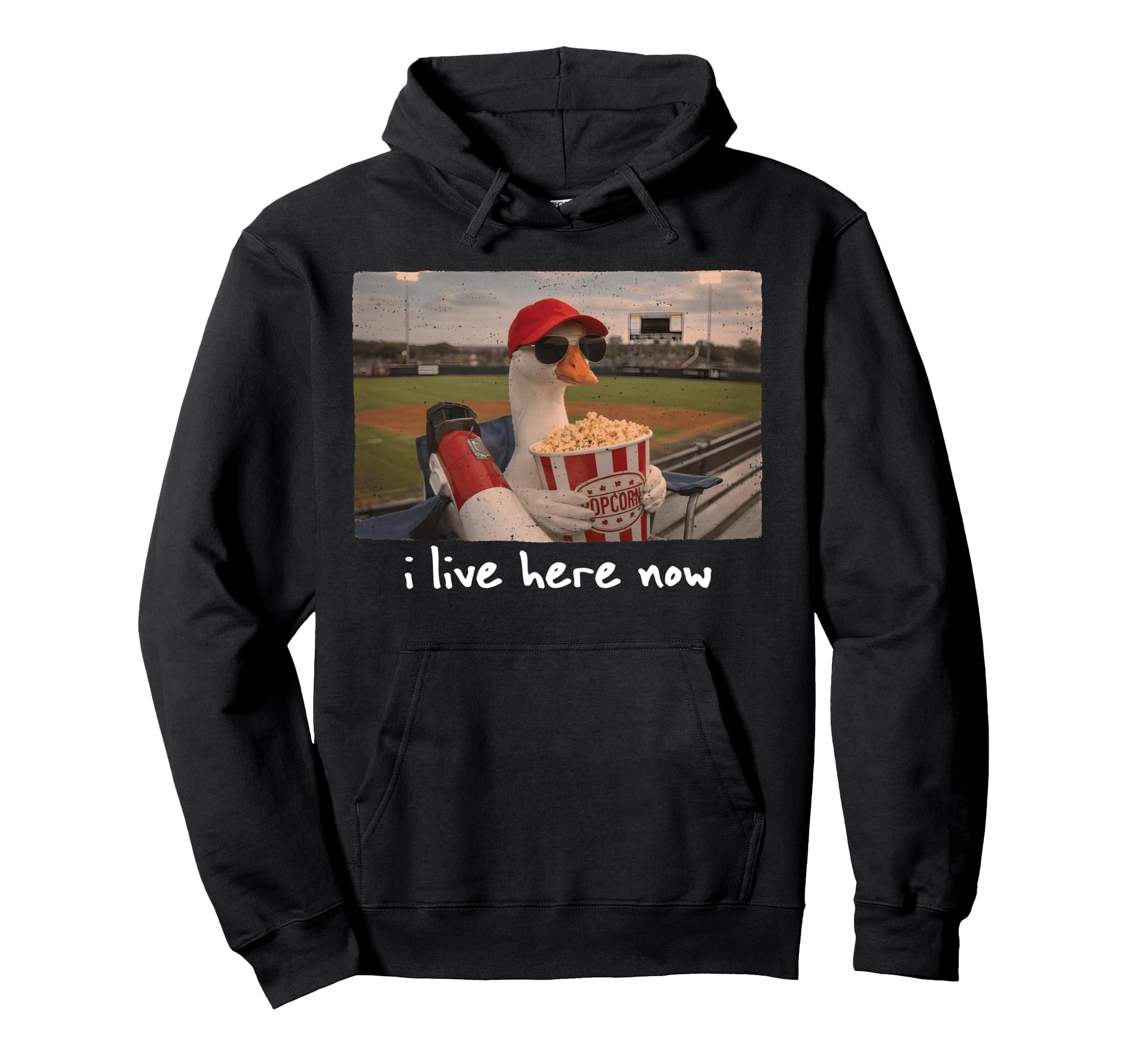 Funny Goose Ballfield Baseball Field Hoodie - Custom Art Print for Adults - T-Shirt, Sweatshirt, Hoodie