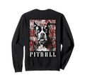 Back Y2K Streetwear Dog Pit Bull Sweatshirt - Novelty Apparel Unisex - T-Shirt, Sweatshirt, Hoodie