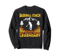Baseball Coaching Trainer Training Sweatshirt - Custom Art Print Unisex - T-Shirt, Sweatshirt, Hoodie