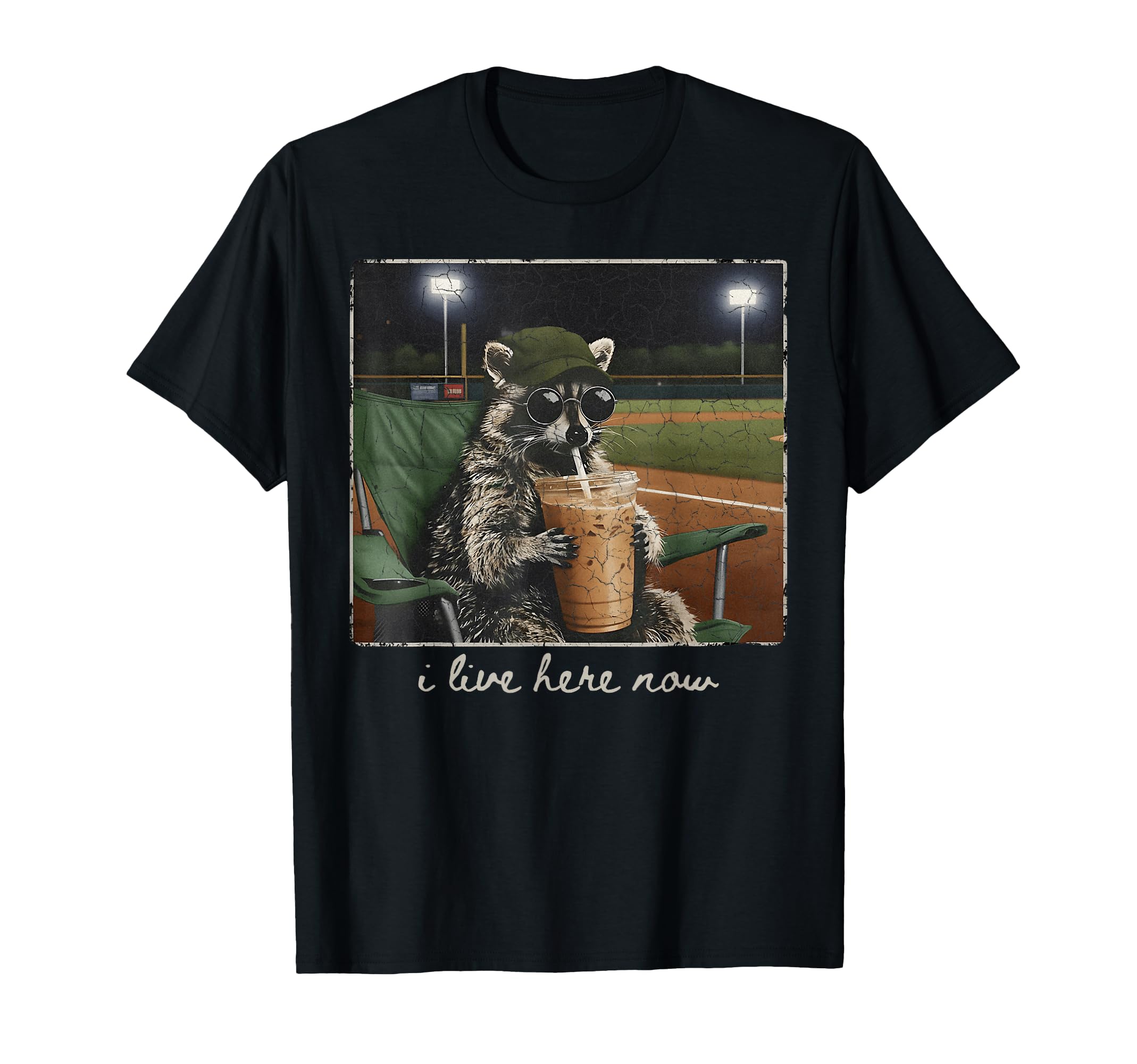 Funny Raccoon Ballfield Baseball T-Shirt - Casual Everyday Wear Unisex - T-Shirt, Sweatshirt, Hoodie