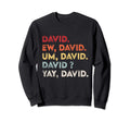 Ew David Funny Distressed Gift Sweatshirt - Graphic Print Men Women - T-Shirt, Sweatshirt, Hoodie
