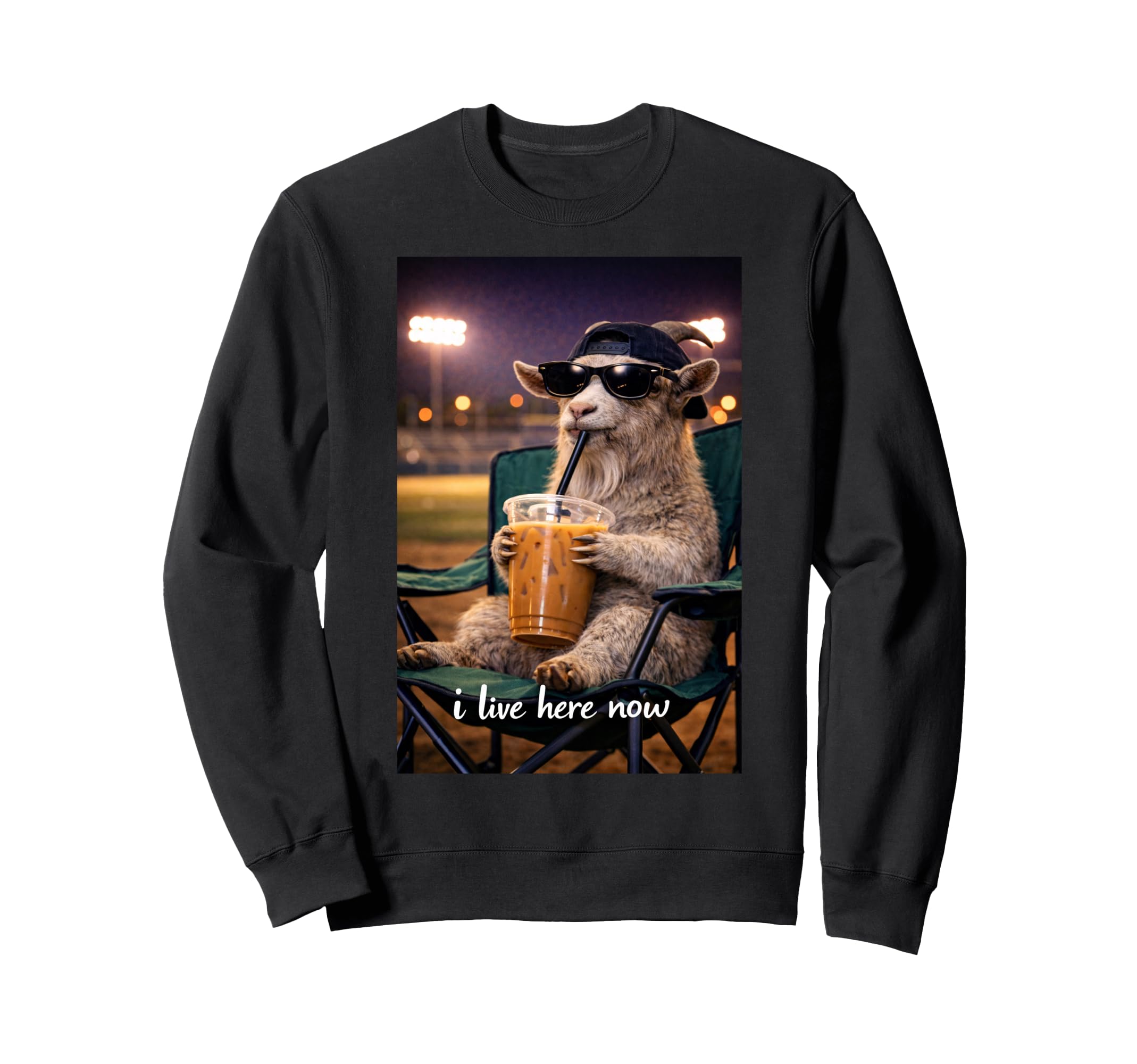 Funny Goat Ballfield Baseball Field Sweatshirt - Trendy Graphic Men Women - T-Shirt, Sweatshirt, Hoodie