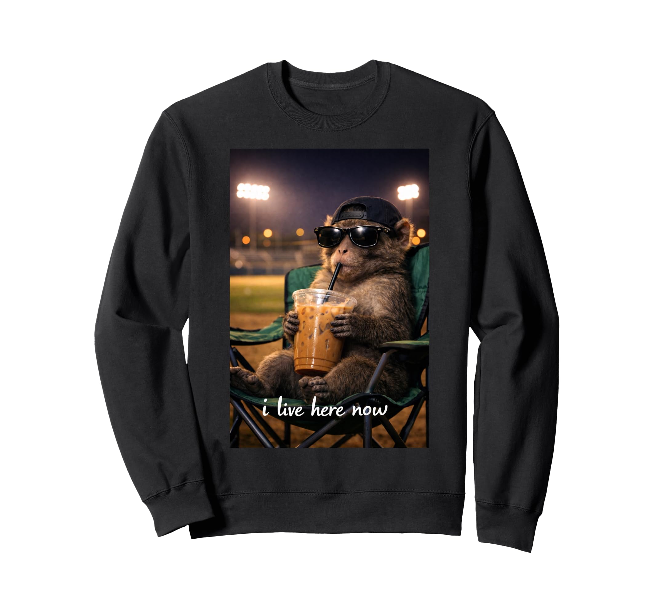 Funny Monkey Ballfield Baseball Sweatshirt - Novelty Apparel Men Women - T-Shirt, Sweatshirt, Hoodie