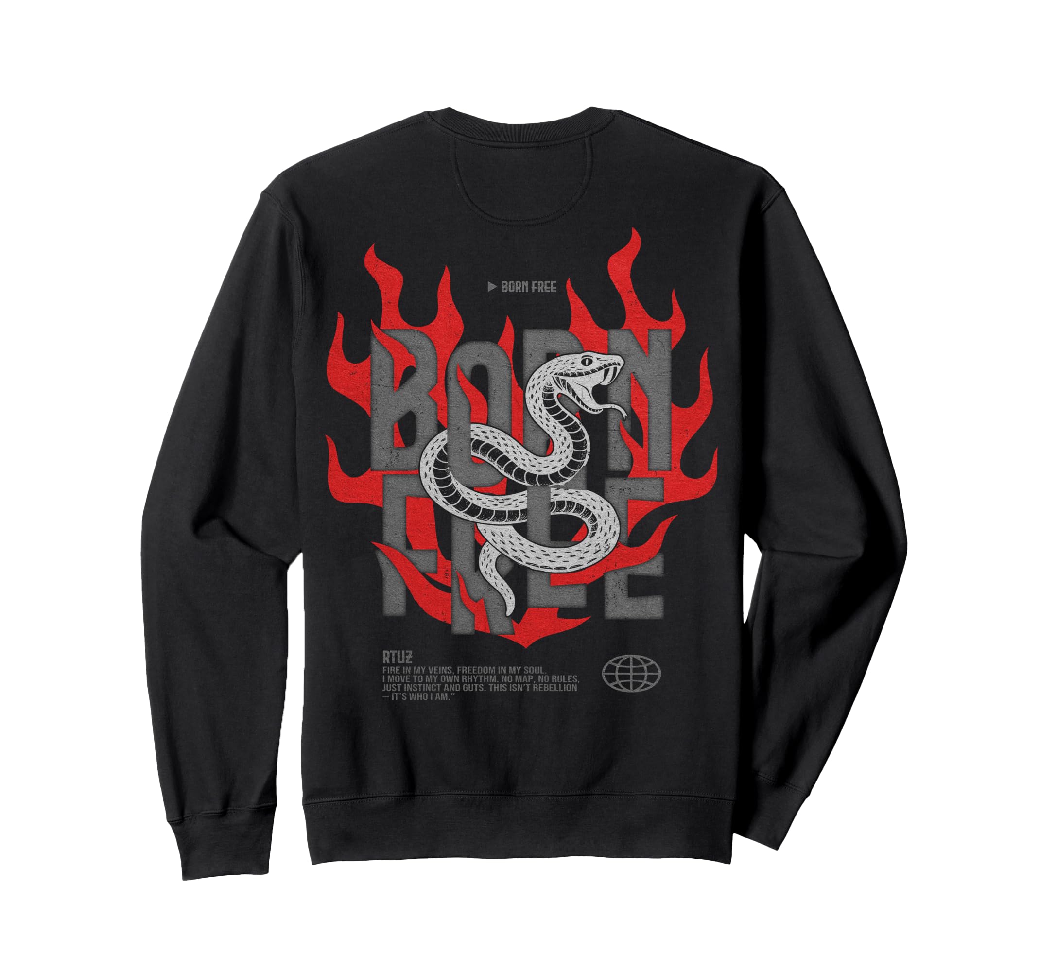 Y2K Back Streetwear Sweatshirt - Trendy Graphic for Adults - T-Shirt, Sweatshirt, Hoodie