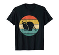 Racoon Sunset Raccoon Lover T-Shirt - Aesthetic Graphic for Adults - T-Shirt, Sweatshirt, Hoodie