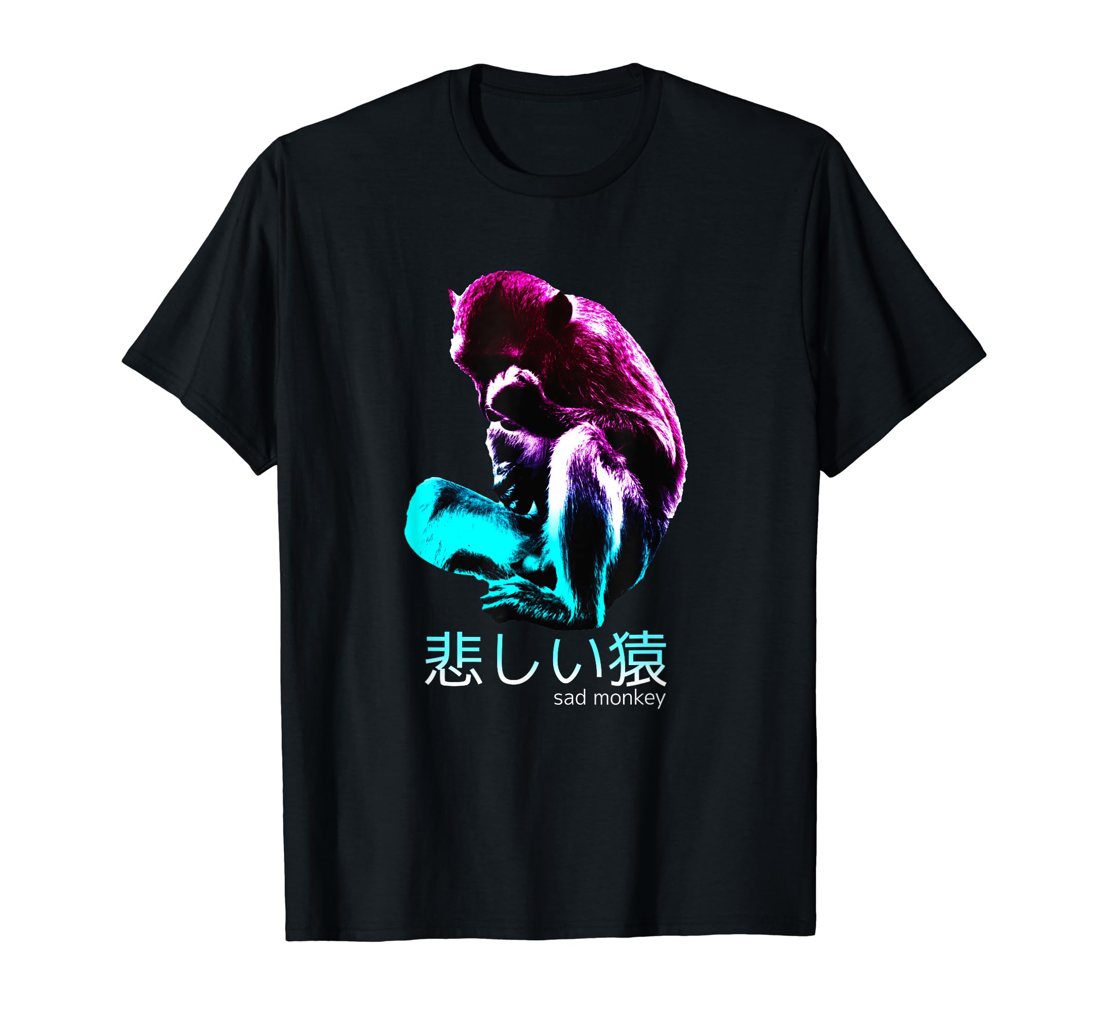 Japanese Aesthetic Vaporwave Synthwave Hoodie - Minimalist Print Men Women - T-Shirt, Sweatshirt, Hoodie