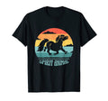 Pony Spirit Animal Sunset Pony T-Shirt - Aesthetic Graphic for Adults - T-Shirt, Sweatshirt, Hoodie