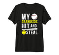 Mens My Grandkids Hit And Steal T-Shirt - Aesthetic Graphic Unisex - T-Shirt, Sweatshirt, Hoodie