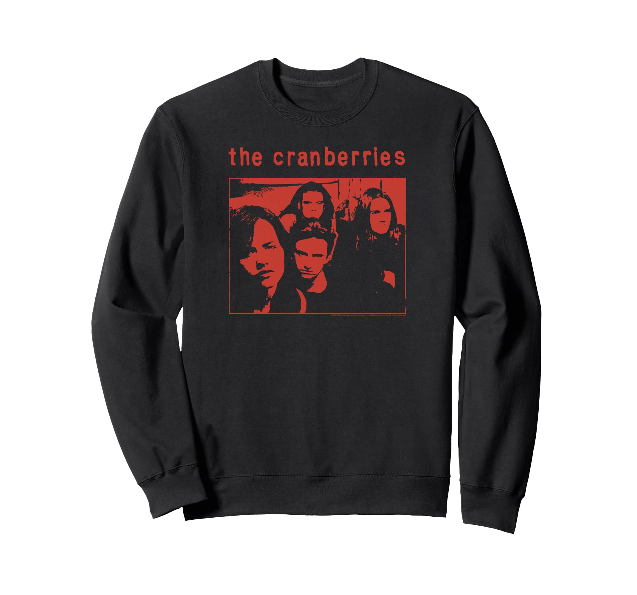 Cranberries 95 World Tour Front Sweatshirt - Unique Graphic for Adults - T-Shirt, Sweatshirt, Hoodie