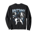 Brittany 90S Heavy Metal Dog Lover Sweatshirt - Trendy Graphic for Adults - T-Shirt, Sweatshirt, Hoodie