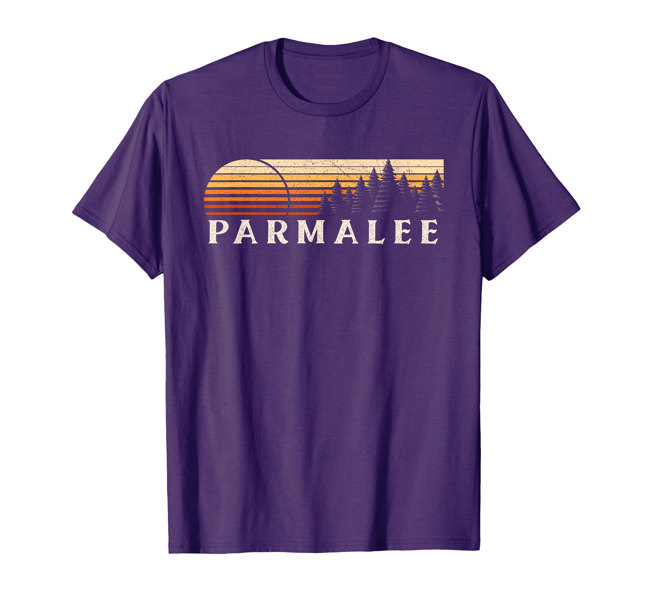 Parmalee Fl Evergreen Sunset Eighties T-Shirt - Trendy Graphic for Adults - T-Shirt, Sweatshirt, Hoodie