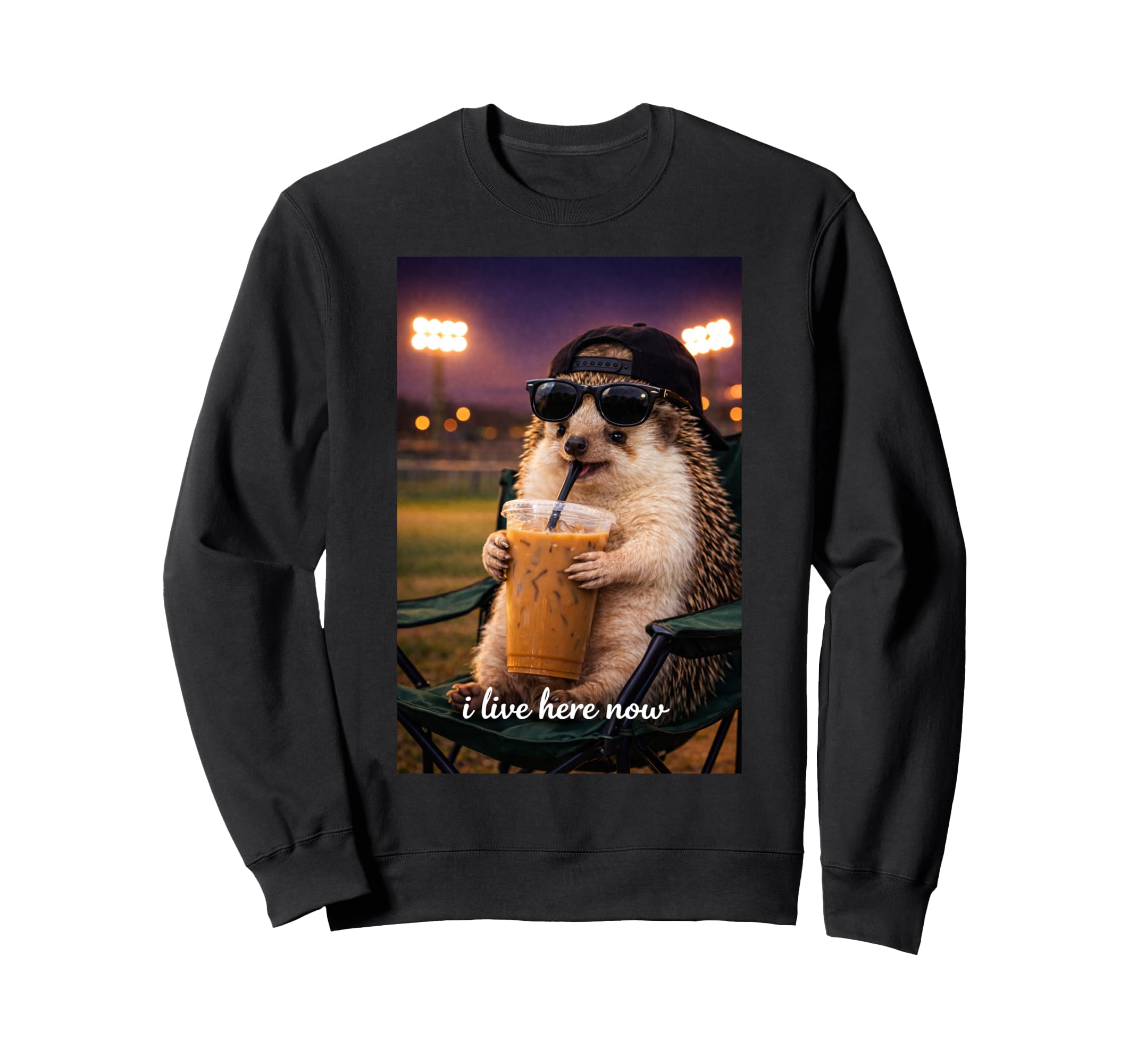 Funny Hedgehog Ballfield Baseball Sweatshirt - Streetwear Style Men Women - T-Shirt, Sweatshirt, Hoodie