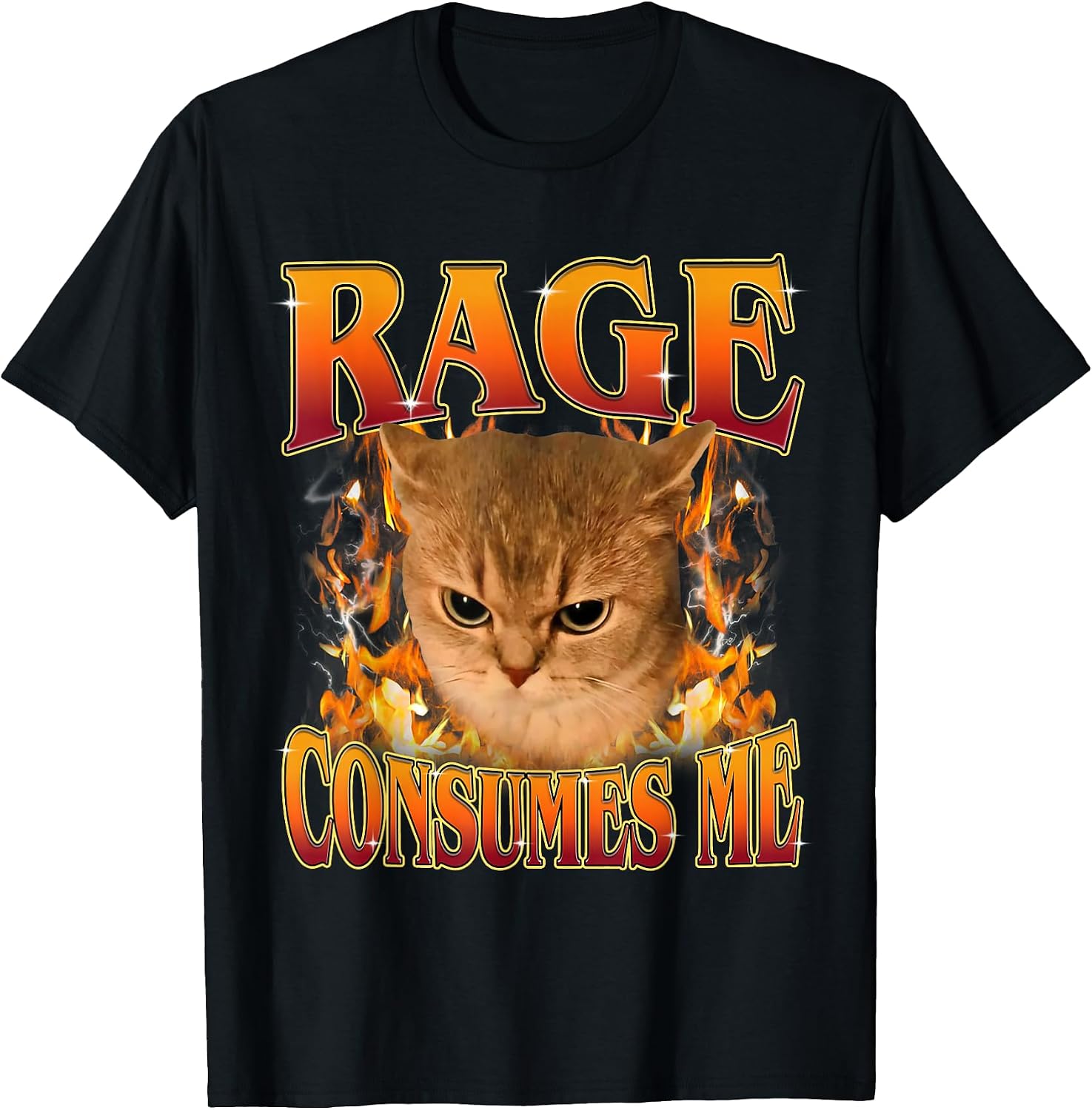 Funny Cat Meme Rage Consumes Me Ironic - Adult & Kids T-Shirts, Sweatshirts & Hoodies apparel design preview 1