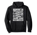 Nobody Is Alejandro Kirk Fans Funny Baseball Hoodie - Graphic Print Unisex - T-Shirt, Sweatshirt, Hoodie