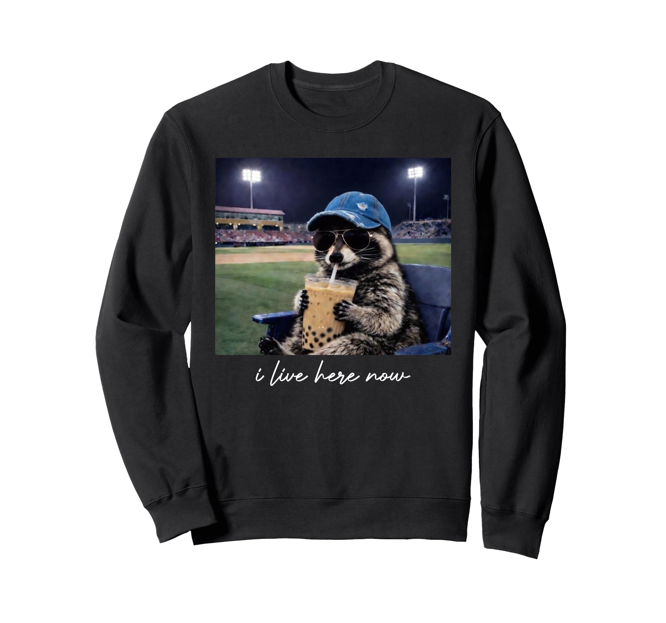 Racoon Funny Ballfield Dark Only Sweatshirt - Novelty Apparel Men Women - T-Shirt, Sweatshirt, Hoodie