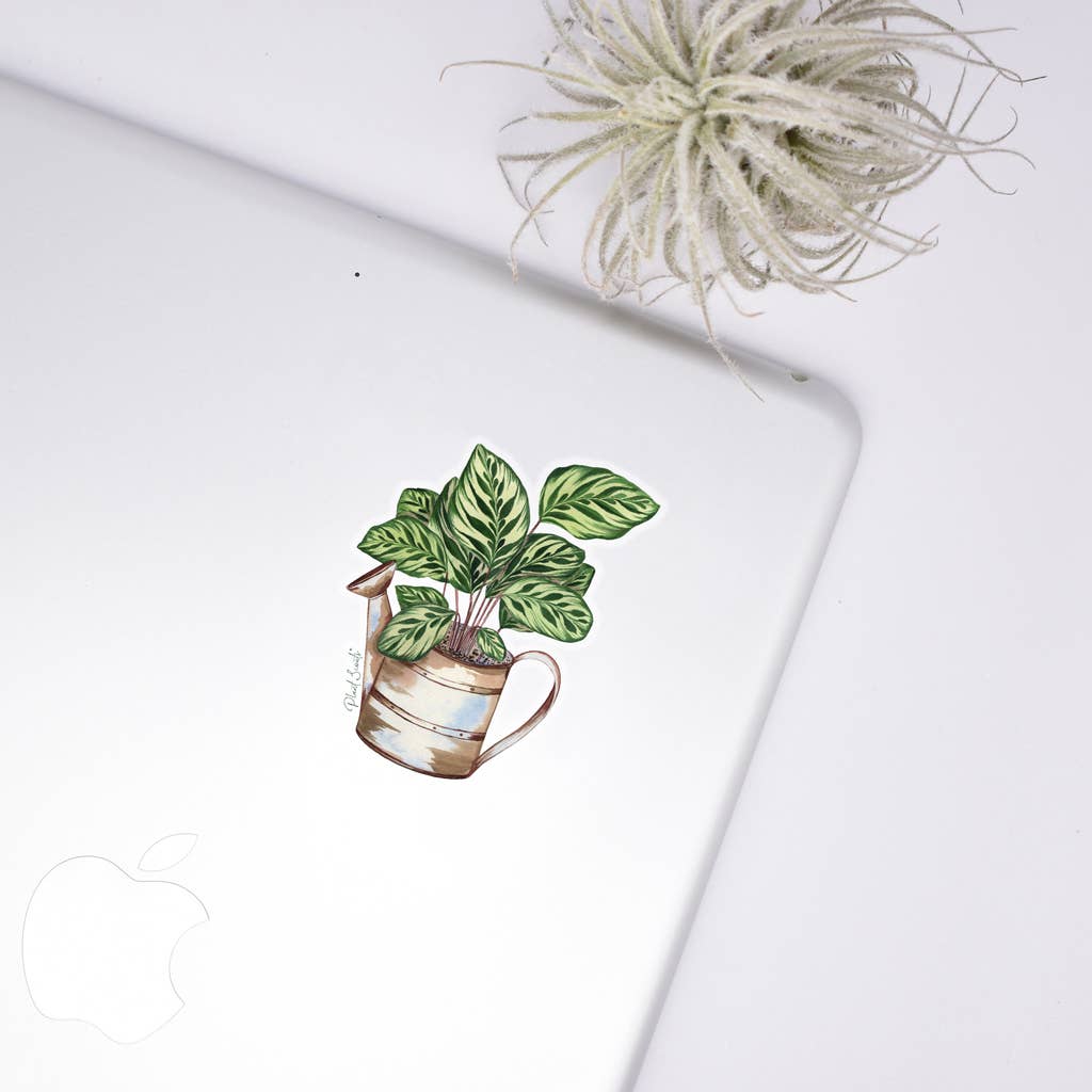 Calathea Clear Sticker House Plant Stickers - Adult & Kids T-Shirts, Sweatshirts & Hoodies apparel design preview 1