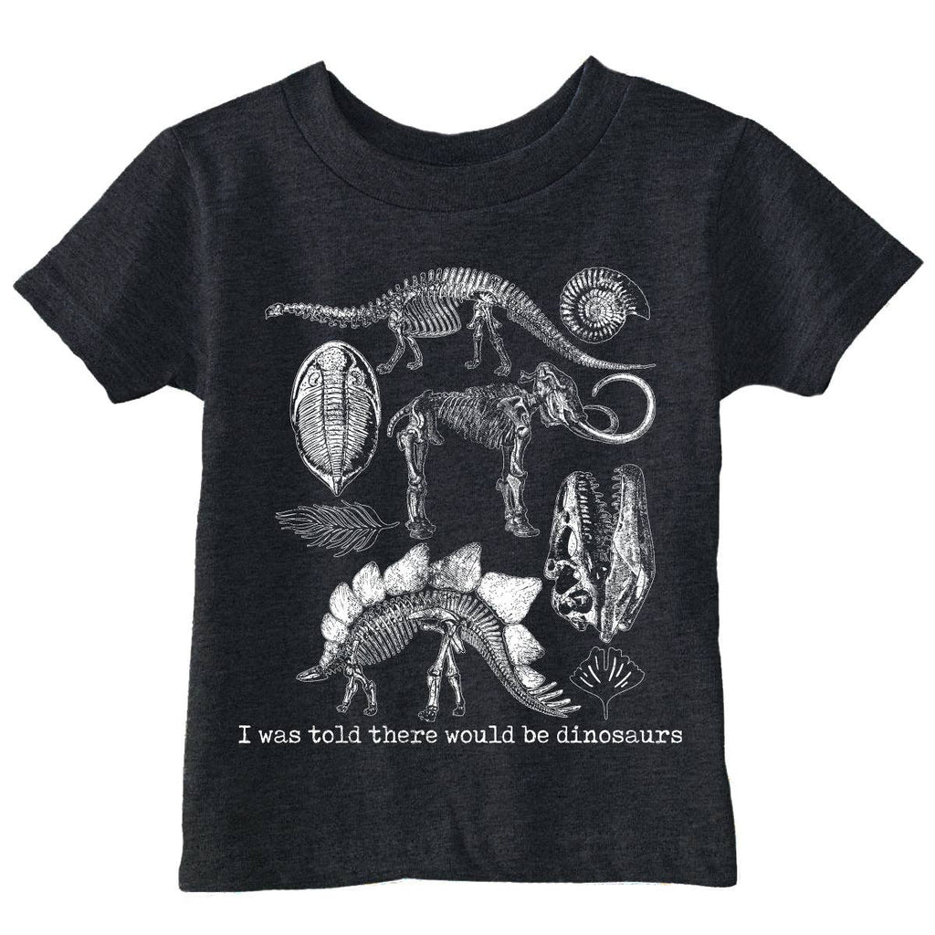 I Was Told There Would Be Dinosaurs Toddler - Adult & Kids T-Shirts, Sweatshirts & Hoodies apparel design preview 1