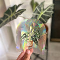 Suncatcher Window Decal Sticker Crystal Alocasia - Adult & Kids T-Shirts, Sweatshirts & Hoodies apparel design preview 1