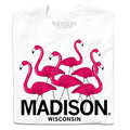 Madison Flamingos - Adult & Kids T-Shirts, Sweatshirts & Hoodies apparel design preview 1