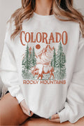 Colorado Rocky Mountains Buffalo Graphic Brushed - Adult & Kids T-Shirts, Sweatshirts & Hoodies apparel design preview 1
