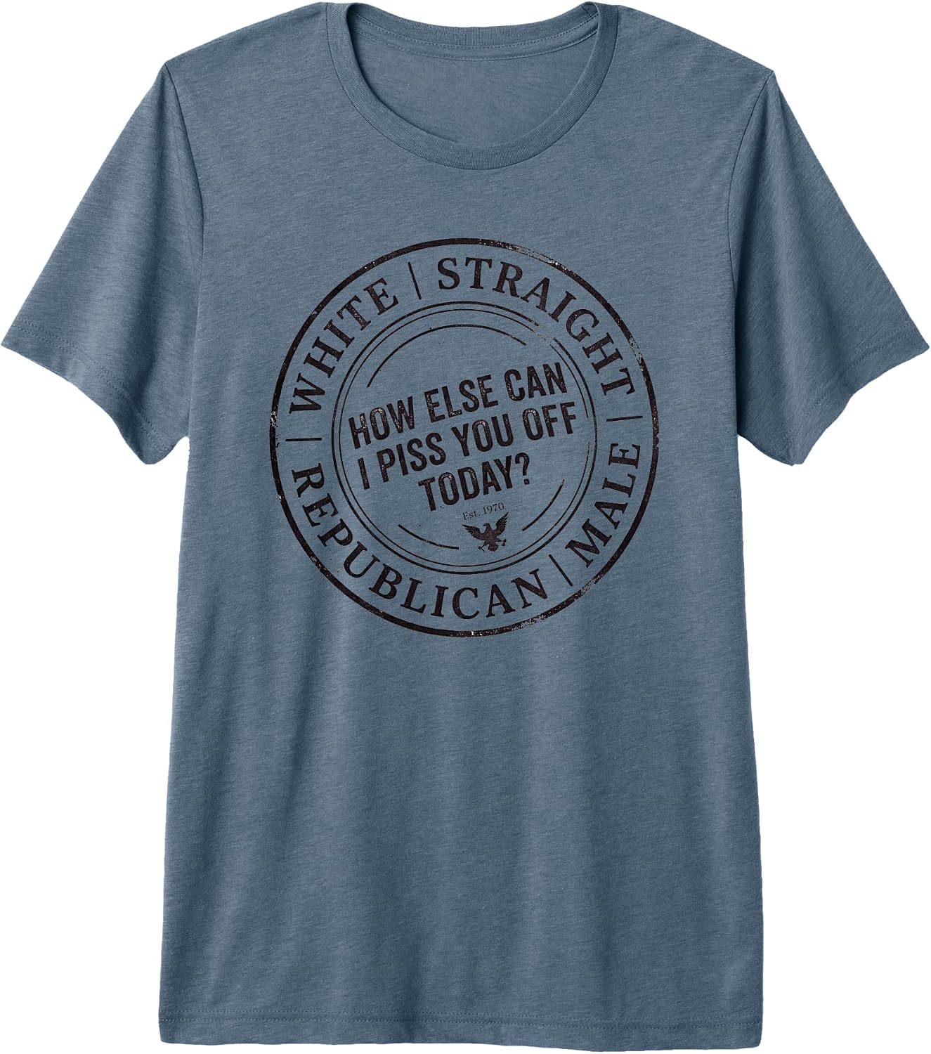 Political Humor White Straight Republican Male - Adult & Kids T-Shirts, Sweatshirts & Hoodies apparel design preview 1