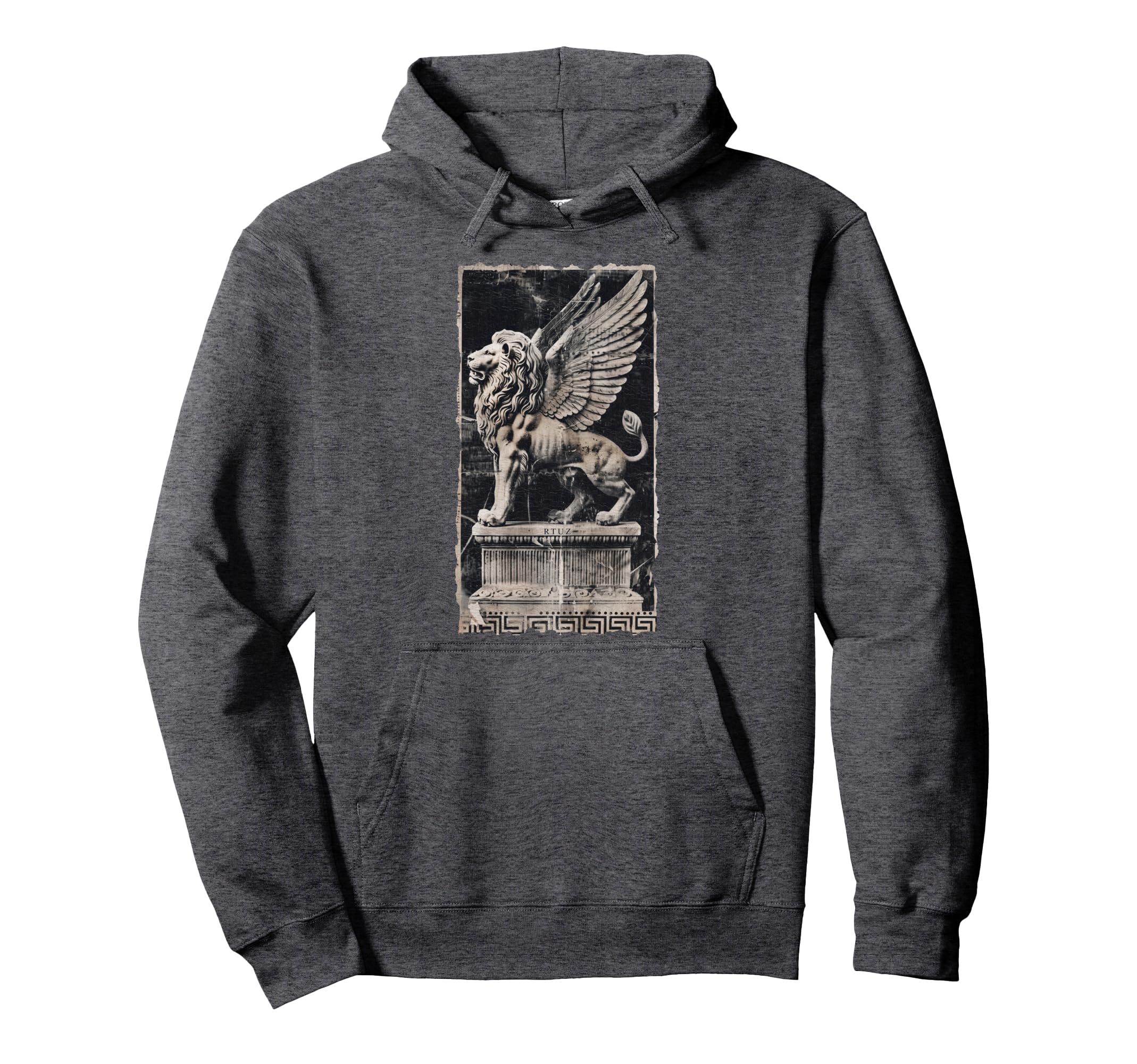 Aesthetic Streetwear Lion Hoodie - Unique Graphic Unisex - T-Shirt, Sweatshirt, Hoodie