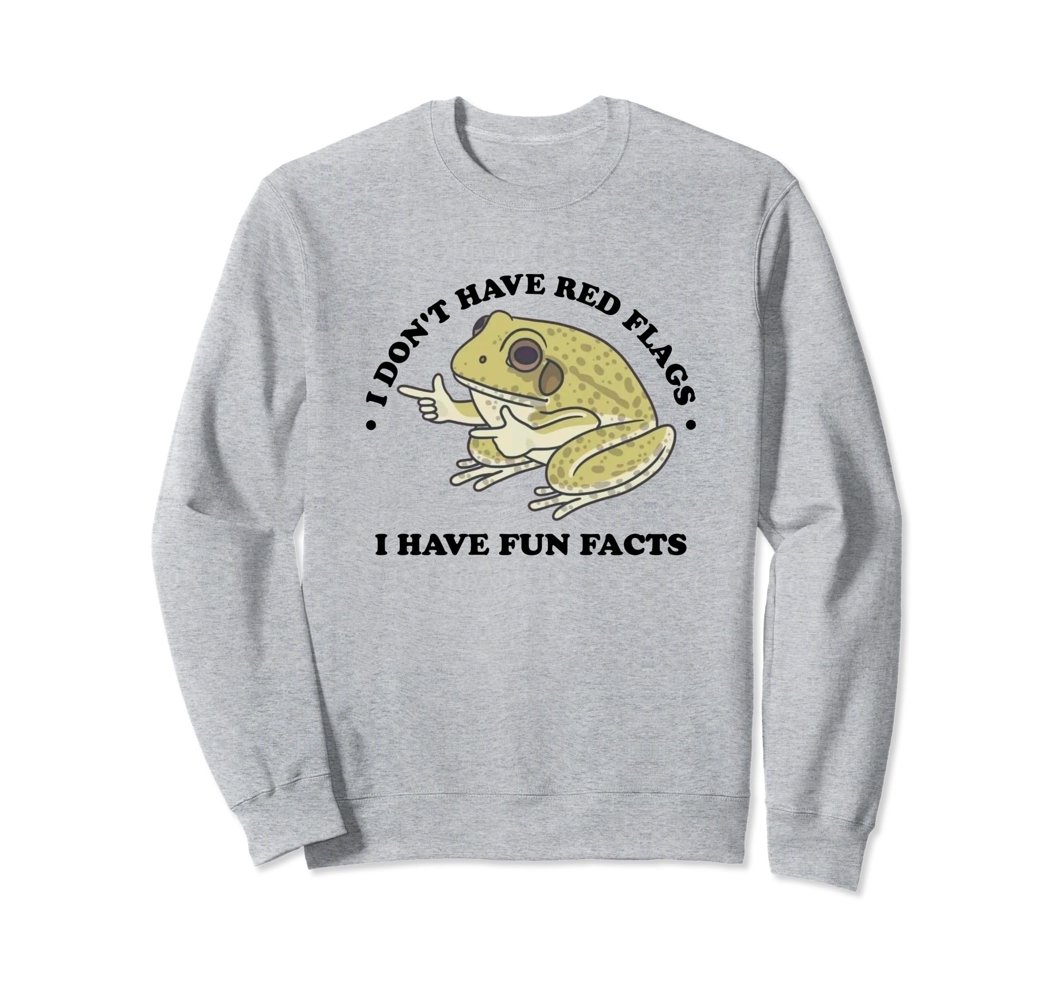 I Dont Have Red Flags I Have Fun Sweatshirt - Aesthetic Graphic for Adults - T-Shirt, Sweatshirt, Hoodie