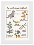 Olympic Peninsula Field Guide Post Card - Adult & Kids T-Shirts, Sweatshirts & Hoodies apparel design preview 1