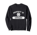 High School And College Mascot Property Hoodie - Unique Graphic Men Women - T-Shirt, Sweatshirt, Hoodie