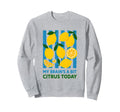 My Brains Bit Citrus Today Lemon Sweatshirt - Aesthetic Graphic for Adults - T-Shirt, Sweatshirt, Hoodie