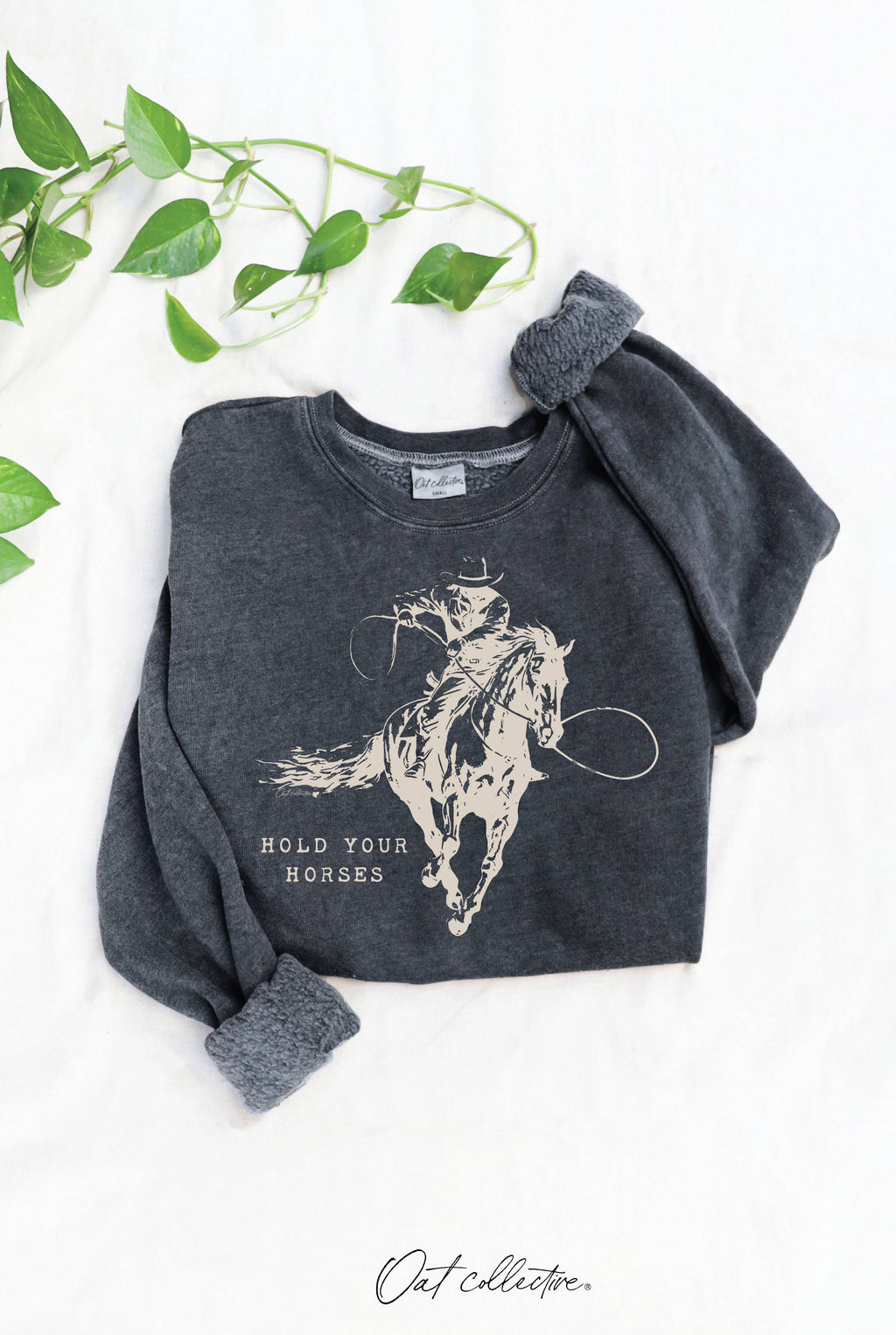 Hold Your Horses Mineral Graphic - Adult & Kids T-Shirts, Sweatshirts & Hoodies apparel design preview 1