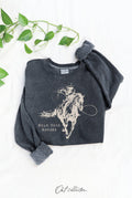 Hold Your Horses Mineral Graphic - Adult & Kids T-Shirts, Sweatshirts & Hoodies apparel design preview 1