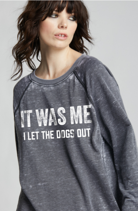 303149 I Let the Dogs Out Oversized Statement - Adult & Kids T-Shirts, Sweatshirts & Hoodies apparel design preview 1