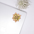 Succulent Clear Sticker - Adult & Kids T-Shirts, Sweatshirts & Hoodies apparel design preview 1