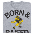 Hawkeyes Born Raised Vintage Grey - Adult & Kids T-Shirts, Sweatshirts & Hoodies apparel design preview 1