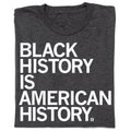 Black History Is American - Adult & Kids T-Shirts, Sweatshirts & Hoodies apparel design preview 1