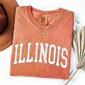 Illinois, Football, Game Day, Tailgate Party State - Adult & Kids T-Shirts, Sweatshirts & Hoodies apparel design preview 1